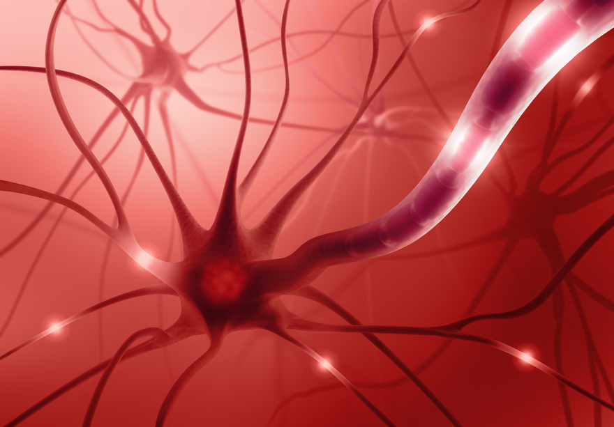 obrázek neuronu